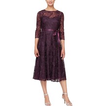 Alex Evenings Women's Tea Length Embroidered Dress Illusion Sleeves (Petite Missy)